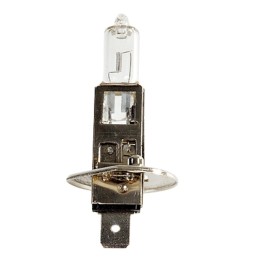 ampoule-h1-12v-55w-halogène