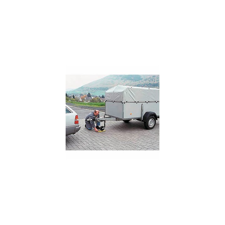 Pèse-Véhicule Portable Électronique - Mesure Charge Caravane et Remorque - 1000 kg