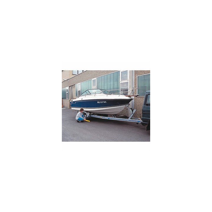Pèse-Véhicule Portable Électronique - Mesure Charge Caravane et Remorque - 1000 kg