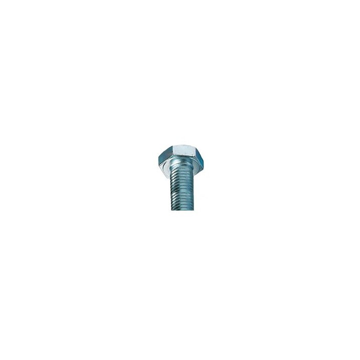 vis-collier-roue-jockey-10x30mm-zinguee.jpg