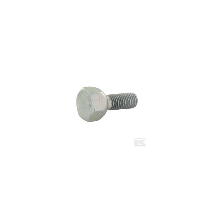 Vis 10x125 - Plat 19 mm - Visserie Roue