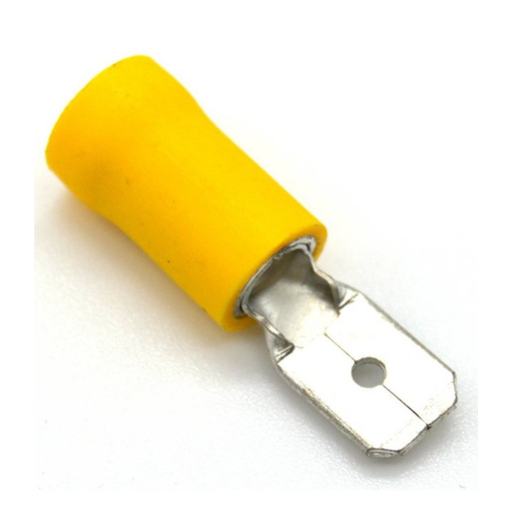 Cosses plates males jaune