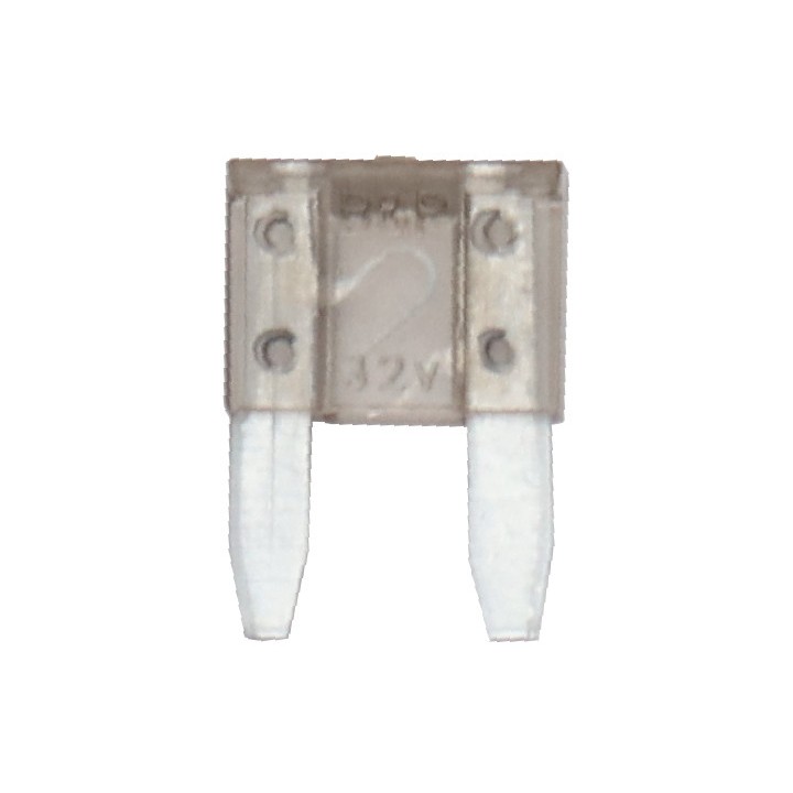 Fusible standard a broches - 5A (par 50)