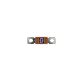 10 Fusibles Magnum 150A