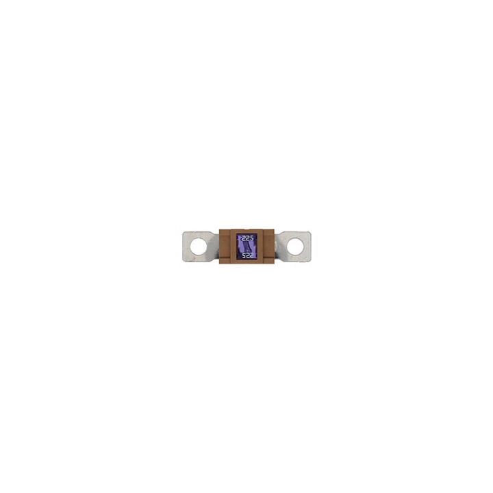 10 Fusibles Magnum 200A
