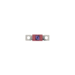 10 Fusibles Magnum 250A