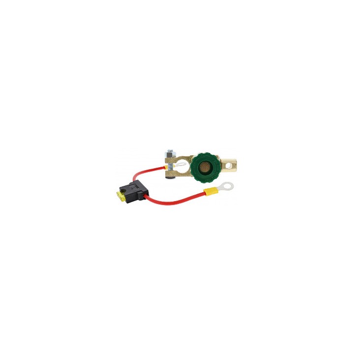 COSSE DE BATTERIE ANTIVOL
