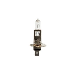 Ampoule H1 12V 55W P14.5S - Ampoule Halogène de gyrophares tout vehicule