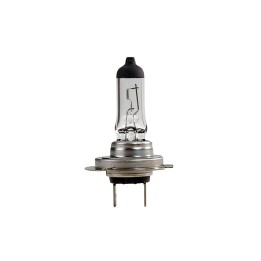 Ampoule H7 12V 55W PX26D - Ampoule Halogène de gyrophares tout vehicule